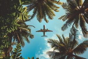 ai generato esotico aereo al di sopra di tropicale palma. creare ai foto