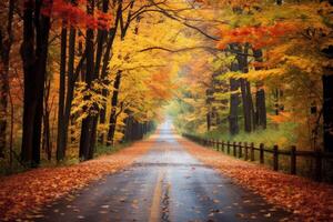 ai generato colorato le foglie su un' nazione strada nel autunno. generativo ai foto