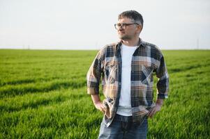 ritratto di anziano contadino agronomo nel Grano campo. riuscito biologico cibo produzione e coltivazione. foto