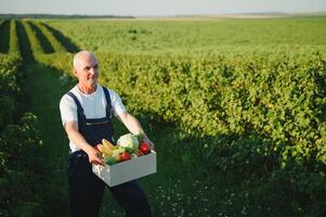 anziano uomo sollevamento scatola pieno di di stagione verdure. il concetto di salutare mangiare foto