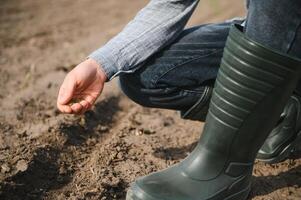 agricoltori mano piantare seme nel suolo foto