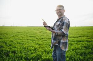 ritratto di anziano contadino in piedi nel verde Grano campo. foto