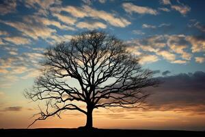 ai generato il silhouette di un' albero contro il pomeriggio cielo. generativo ai foto