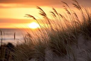 ai generato d'oro luce del sole su spiaggia erba e dune. generativo ai foto