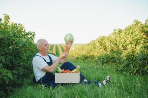 anziano uomo sollevamento scatola pieno di di stagione verdure. il concetto di salutare mangiare foto