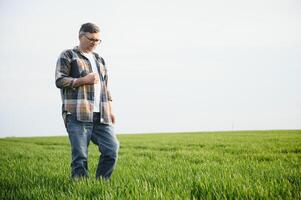 un' giovane contadino ispeziona il qualità di Grano germogli nel il campo. il concetto di agricoltura. foto