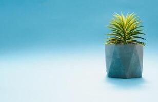 verde germogli nel Marrone argilla vaso di fiori con suolo. blu sfondo, copia spazio foto