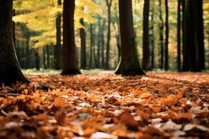 ai generato le foglie copertura il terra nel un' foresta radura. generativo ai foto