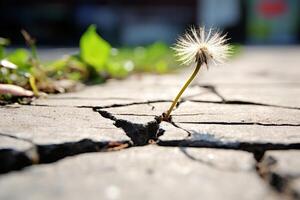 ai generato un' vicino su di un' resiliente dente di leone rottura attraverso il crepe nel un' marciapiede. generativo ai foto