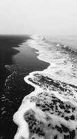 ai generato riva del mare nel nero e bianca foto