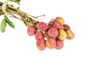 litchi isolato su sfondo bianco foto