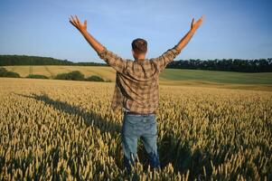 contento contadino con orgoglio in piedi nel Grano campo. ricco raccogliere di coltivato cereale Ritaglia. foto
