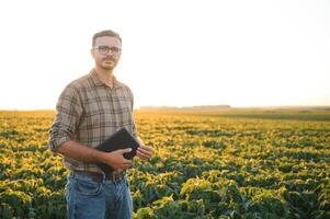 agronomo ispezionando soia fagiolo colture in crescita nel il azienda agricola campo. agricoltura produzione concetto. giovane agronomo esamina soia Ritaglia su campo nel estate. contadino su soia campo foto