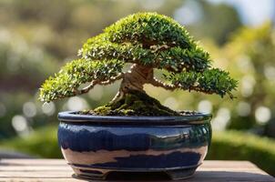 ai generato bayan albero Bonsai nel un' pentola nel il giardino su un' luminosa soleggiato giorno con copia spazio la zona foto