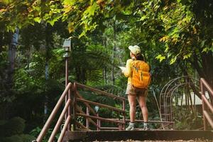 viaggiare per studiare la natura nella foresta pluviale di giovani donne. foto