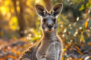 ai generato giovane canguro è guardare a il telecamera nel il pomeriggio sole foto