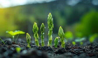 ai generato giovane verde asparago germogli nel il suolo nel il primavera foto