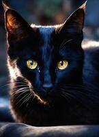 ai generato ritratto di un' nero gatto con giallo occhi su un' buio sfondo. ai generativo foto