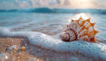 ai generato conchiglia su il spiaggia. mare conchiglia su il sabbia avvicinamento. avvicinamento di un' conchiglia su un' sabbioso spiaggia nel tropicale Posizione. sale acqua conchiglia foto