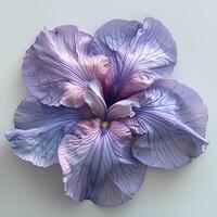 ai generato viola iris fiore isolato su bianca sfondo con ombra. viola iris fiore durante estate fioritura isolato. iris fiore superiore Visualizza foto