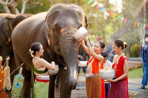 gruppo di tailandese donne merce tailandese tradizionale vestito giocare per spruzzi acqua su il tailandese nuovo anni giorno o Songkran Festival nel un' divertimento modo con elefante nel tempio sfondo. foto