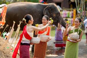 avvicinamento bellissimo tailandese giovane signora merce tailandese tradizionale vestito uso fiori per spruzzatina acqua su ogni altro su il tailandese nuovo anni giorno nel un' divertimento modo su sfocato elefante e mucchio di sabbia sfondo. foto