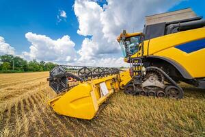 agricoltura macchina raccolta Ritaglia nel campi. speciale tecnico nel azione. agricolo tecnico nel campo. pesante macchinari. blu cielo sopra campo. foto