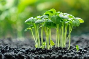 ai generato acquario pianta fertilizzante promuove crescita di acquatico giardinaggio coltivazione nel substrato foto