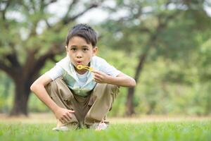 ragazzo seduta nel il parco con soffiaggio aria bolla, circondato di verdura e natura foto