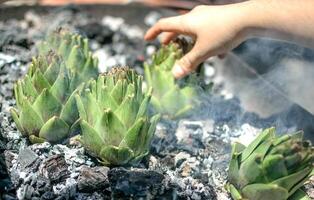 vicino su Visualizza di giovane mano collocazione carciofi su barbecue foto