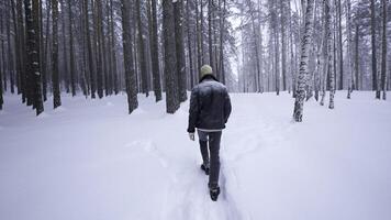 elegante uomo passeggiate nel inverno foresta. media. posteriore Visualizza di elegante biondo uomo a piedi nel inverno foresta. camminare nel inverno foresta nel nevicata foto