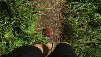 avvicinamento di uomo a piedi lungo sentiero con verde erba. clip. uomo nel gli sport scarpe da ginnastica passeggiate lungo montagna pista su soleggiato estate giorno. gli sport camminare nel scarpe da ginnastica su stretto sentiero con verde erba foto