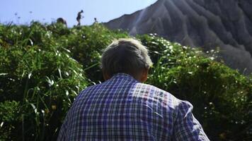 nonno su escursione nel montagne nel estate. clip. anziano uomo passeggiate lungo montagna sentiero su soleggiato estate giorno. posteriore Visualizza di anziano uomo a piedi su escursione nel colline con verde erba foto