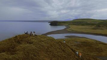 concetto di turismo, gruppo di persone su il collina superiore. clip. aereo Visualizza di giallo erba e il mare costa. foto