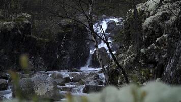 piccolo cascata fra il rocce nel il foresta. clip. montagnoso ruscello In arrivo giù a partire dal il pietre. foto