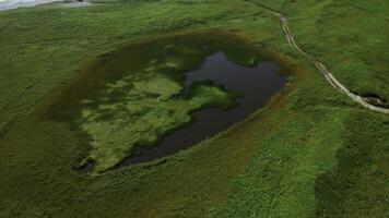 piccolo stagno su verde agricolo campo nel primavera. clip. aereo di verde prato e minuscolo lago. foto