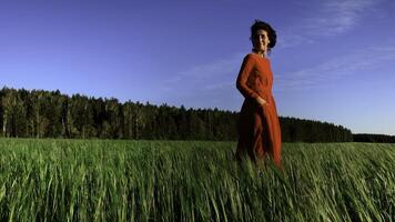 ritratto di un attraente donna nel rosso vestito nel un' campo di fresco verde Grano. azione clip. erbaceo sfondo. sorprendente natura, terreno agricolo, in crescita cereali. foto