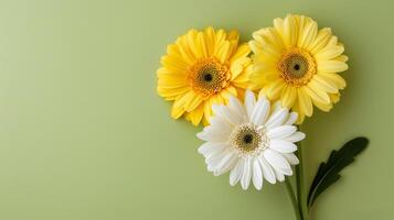 ai generato tre giallo e bianca fiori su verde sfondo foto