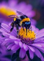 ai generato bombo su fiore. un incantevole ape arroccato su il vivace petali di un' viola fiore foto