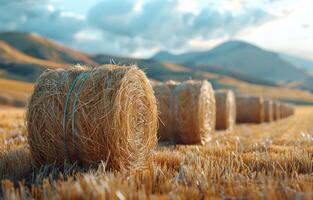 ai generato fieno balle su il campo dopo raccogliere agricolo paesaggio foto