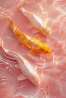 ai generato vivace koi pesce scivolare attraverso rosa colorato acqua foto