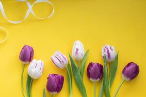 luminosa colorato tulipano fiori menzogna su un' giallo sfondo. posto per testo foto