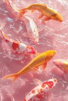 ai generato vivace koi pesce scivolare attraverso rosa colorato acqua foto