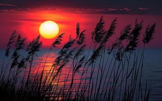 ai generato vivace tramonto tonalità dipingere il cielo e riflettere su tranquillo acque, con canne nel silhouette foto