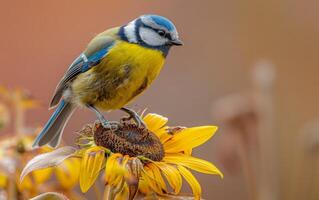 ai generato Questo artistico Immagine Caratteristiche un' blu tetta meravigliosamente integrato in un' caldo, morbido messa a fuoco sfondo con vivido girasoli foto