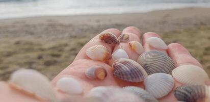 mano con conchiglie su il sfondo di il mare foto