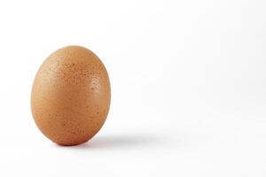 fresco pollo uovo in piedi in posizione verticale foto
