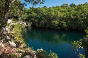 esotico tropicale cenote nel caraibico Messico foto