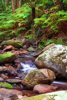 lungo esposizione foto di cascata cascate, acquari passaggio NSW Australia