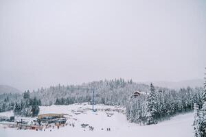 sciatori cavalcata lungo il pendenza di il kolasin 1600 sciare ricorrere. montenegro foto